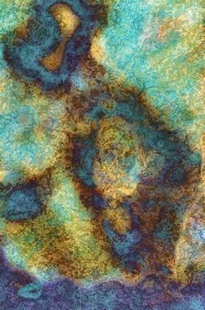 A 31A